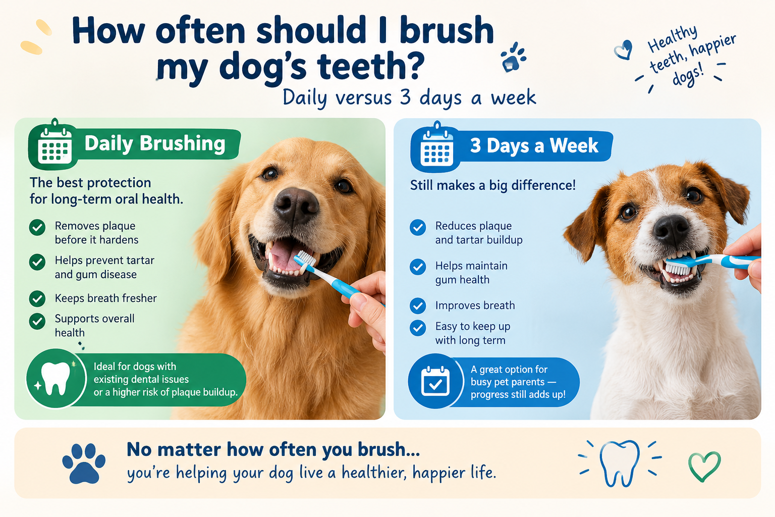 What if my dog refuses the toothbrush?