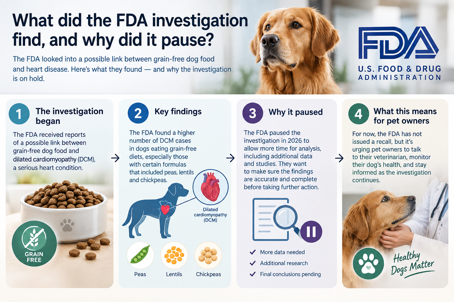 Can switching back from grain-free food reverse heart disease in dogs?