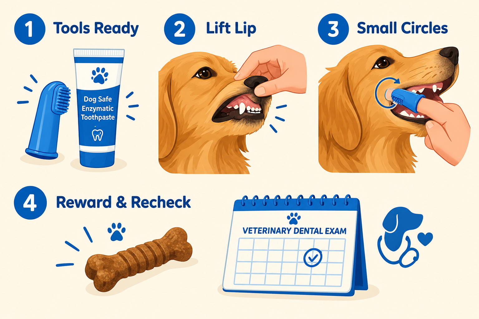 How Do You Prevent Periodontal Disease in Dogs?
