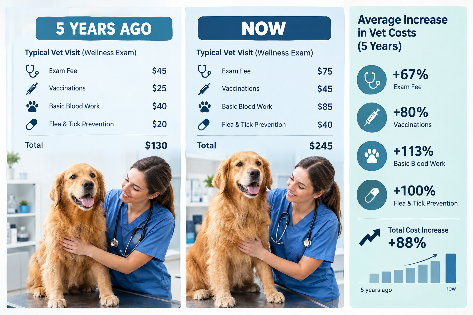How Much Does Pet Insurance Cost, and Is It Worth It?