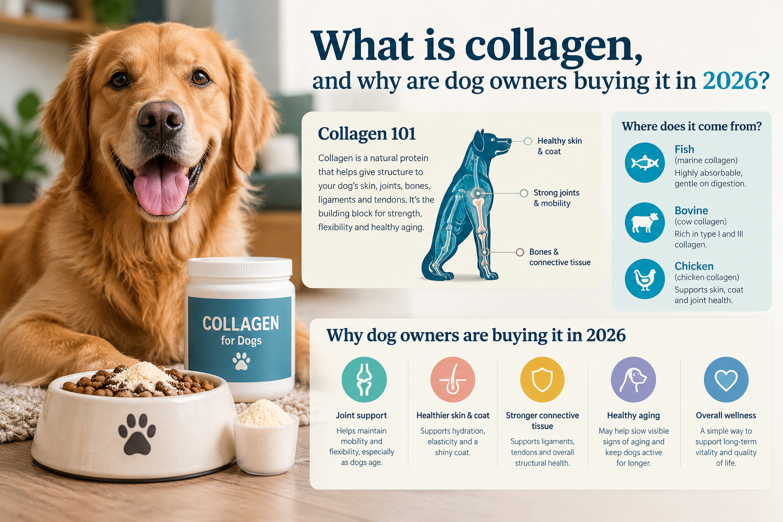 Is collagen safe for dogs? Choking risk with sticks, allergies, and calories