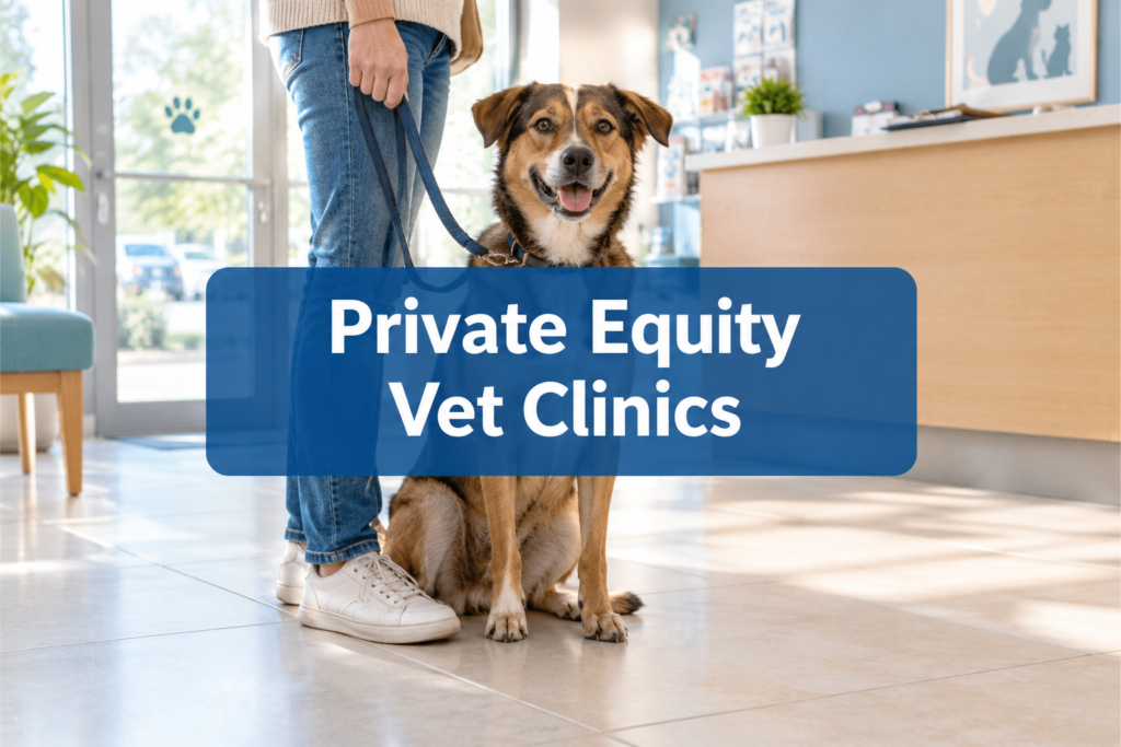 Private Equity Vet Clinics: 5 Questions to Ask Your Vet