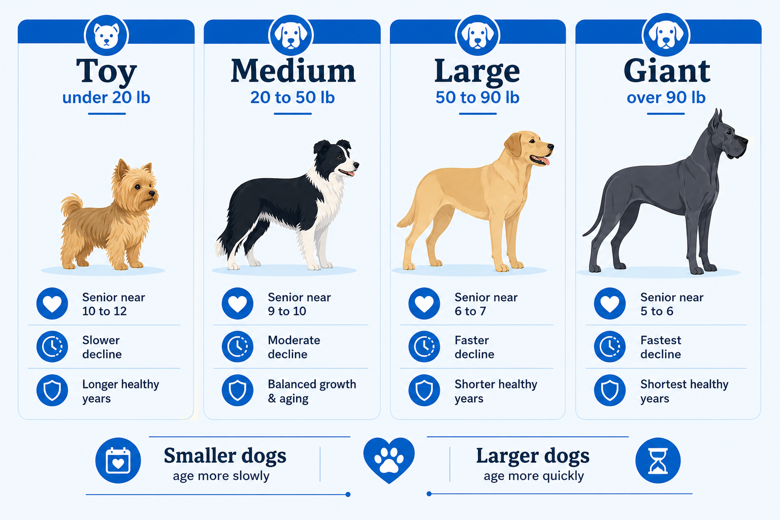 What are the 5 findings dog owners can use?
