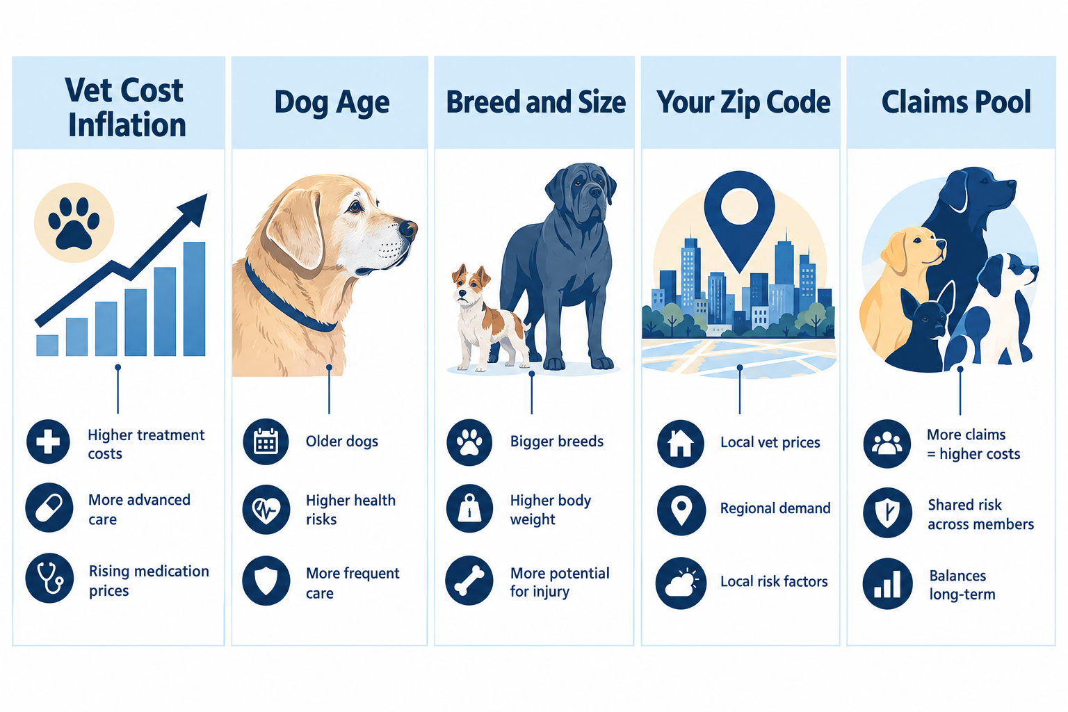 What Are the 5 Reasons Pet Insurance Premiums Rise?