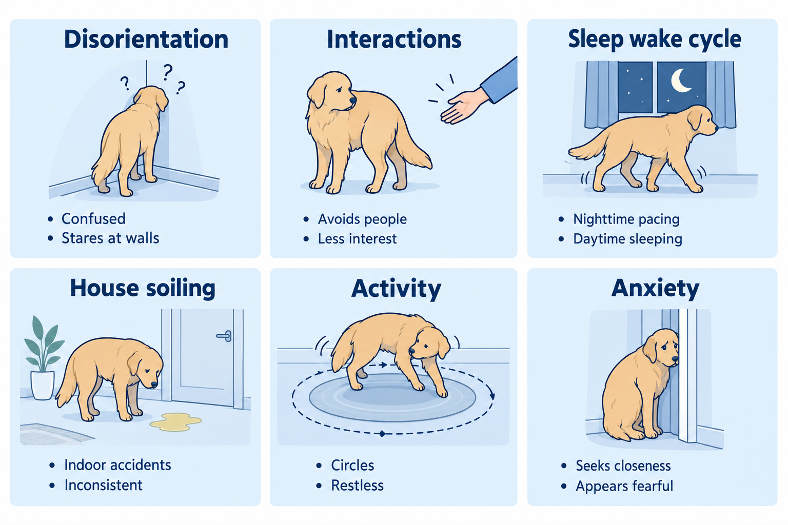 What are the 6 early signs of dog dementia? (DISHAA)