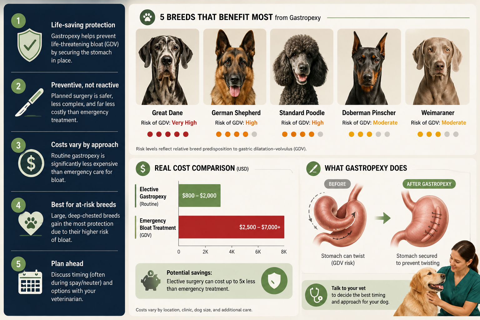 What is dog gastropexy and why do vets recommend it?