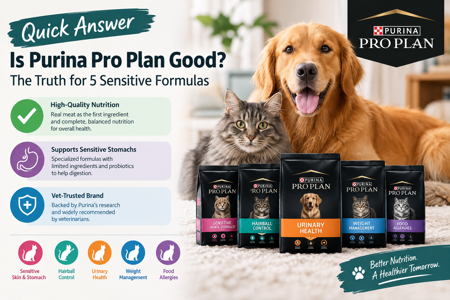 What is Purina Pro Plan, and how does it compare to other premium dog foods?