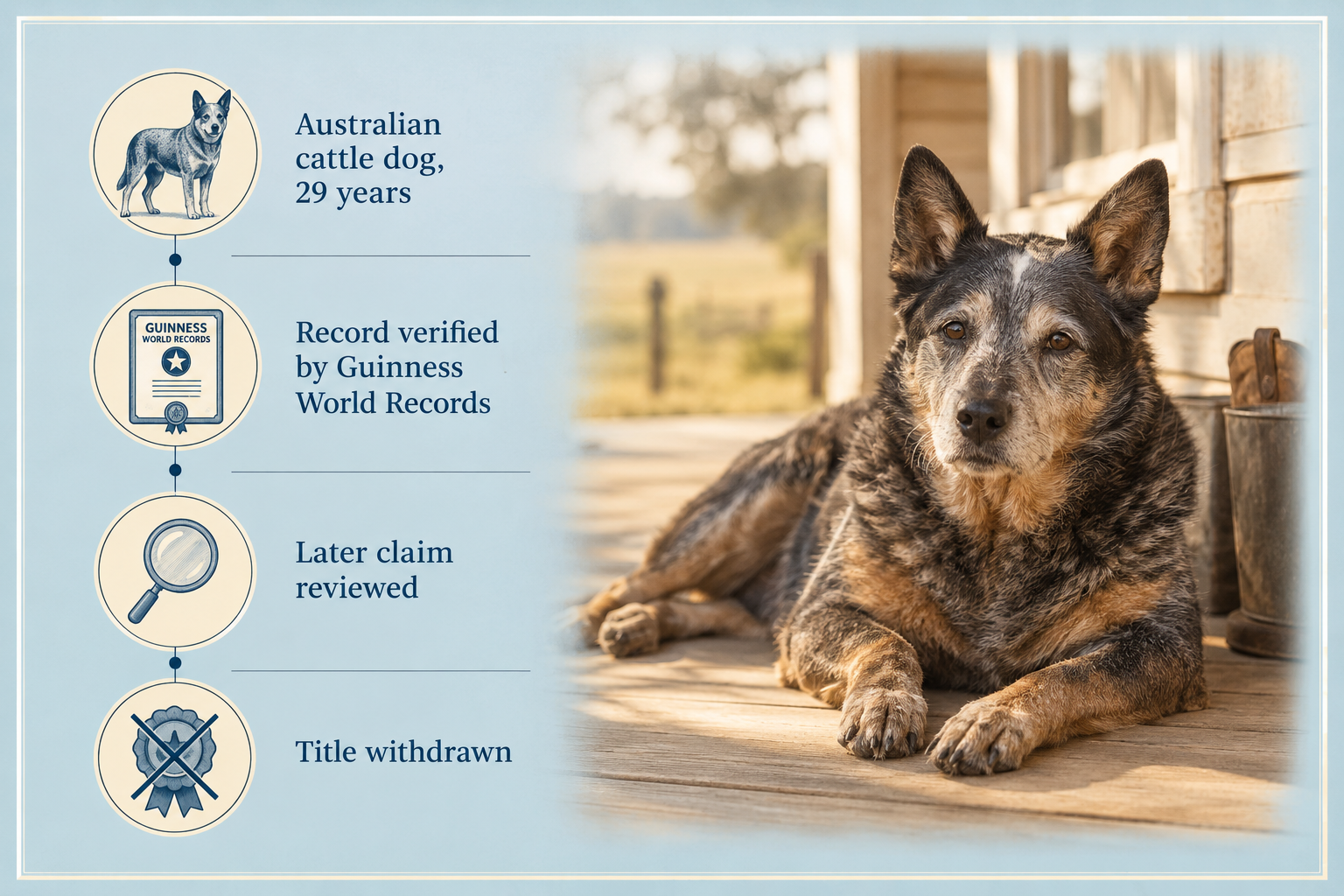 What is the oldest dog on record?