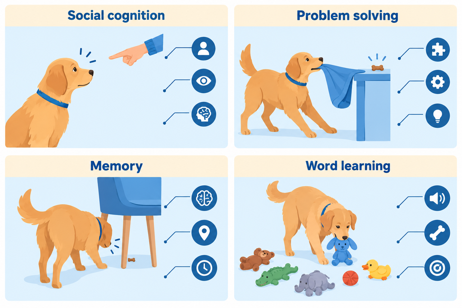 What kinds of intelligence do dogs have?