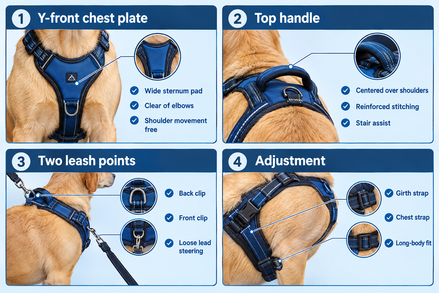 What makes the best harness for dachshund backs?