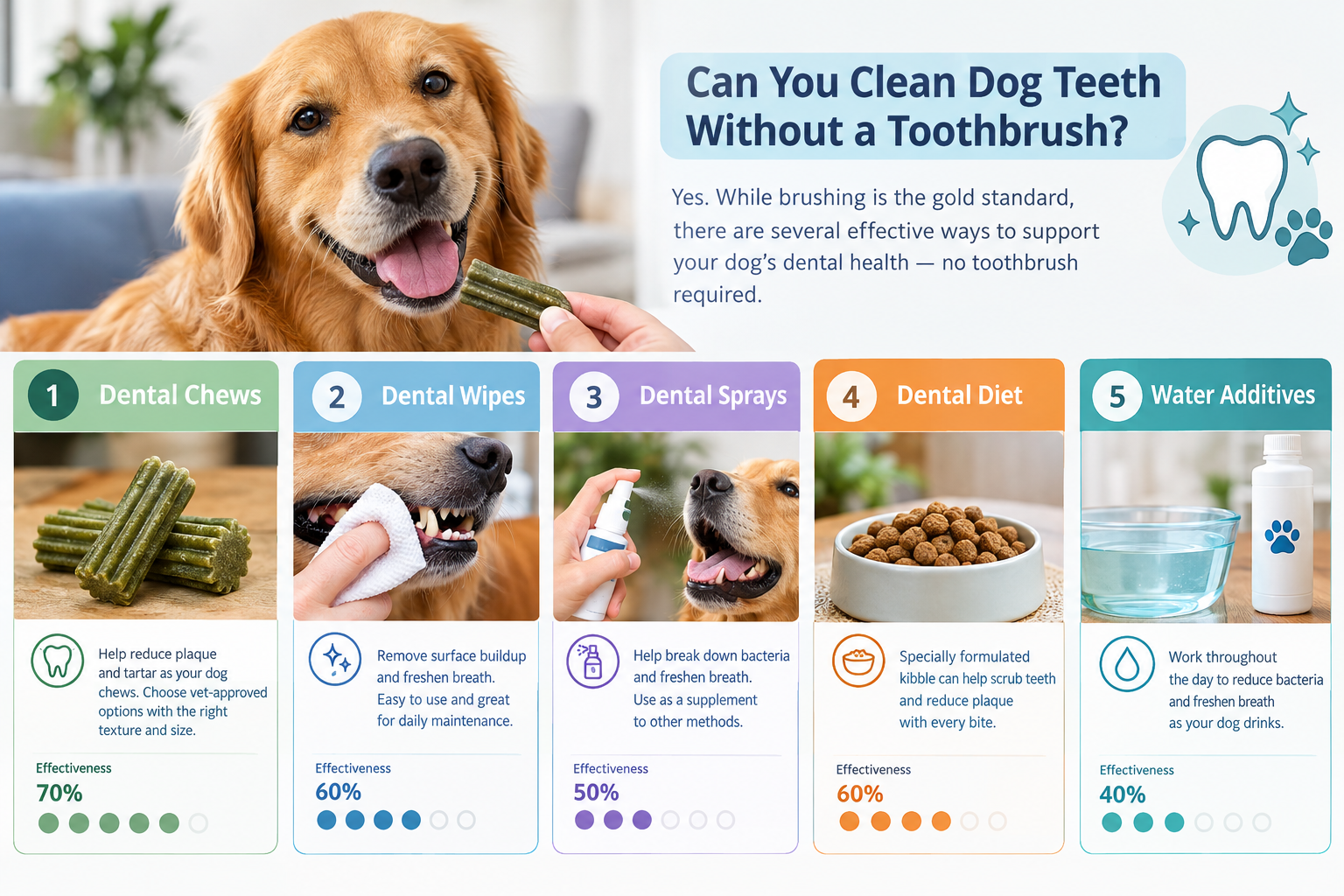 What's the Difference Between Dental Chews and Professional Cleaning?