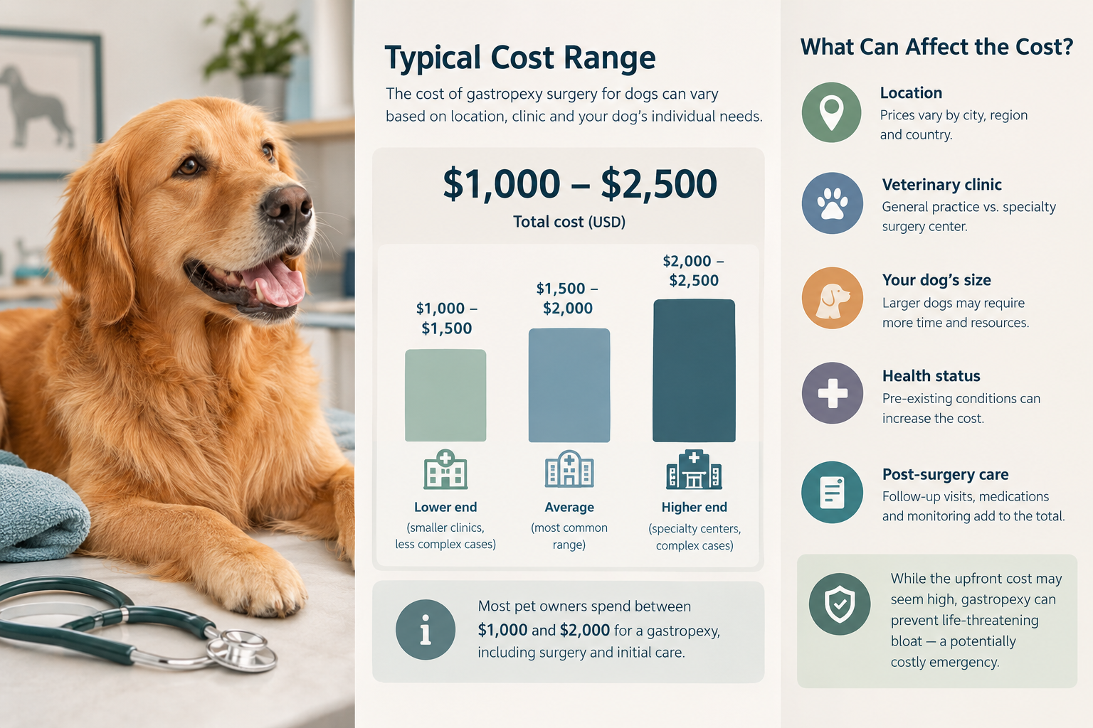 When should you schedule gastropexy for a puppy, and is it worth it?